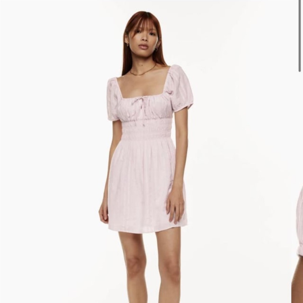 Aritzia Little Moon Kay Elegant Pink Puff Sleeve Dress